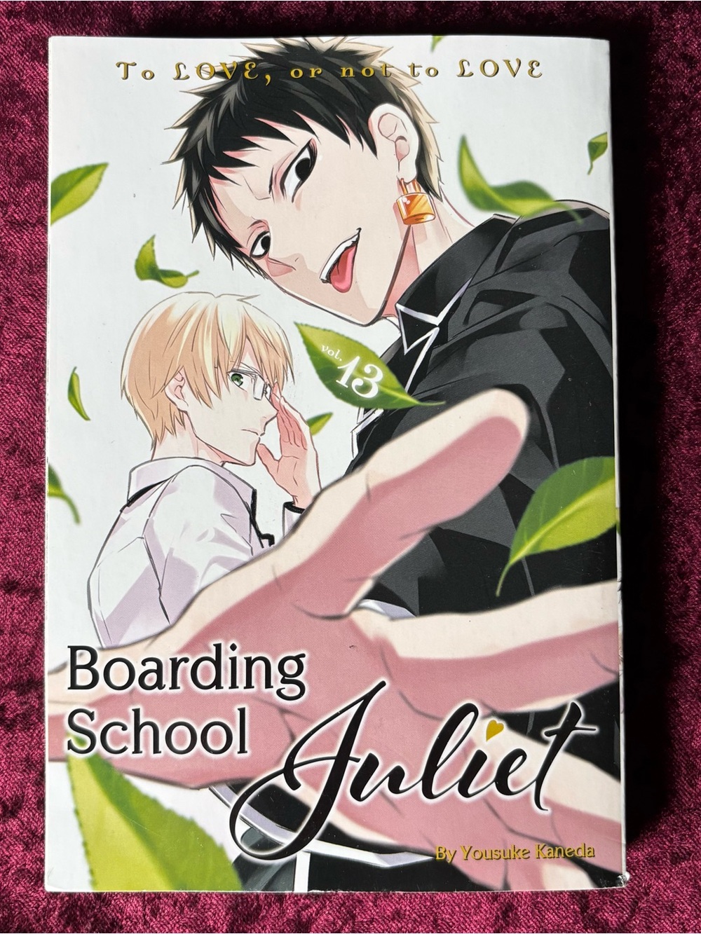 Boarding School Juliet Vol. 13 Manga